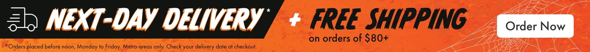 Next-day delivery + free shipping on orders of $80+