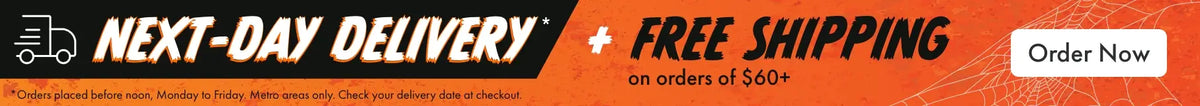 Next-day delivery + free shipping on orders of $80+