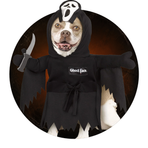 Dog Costumes