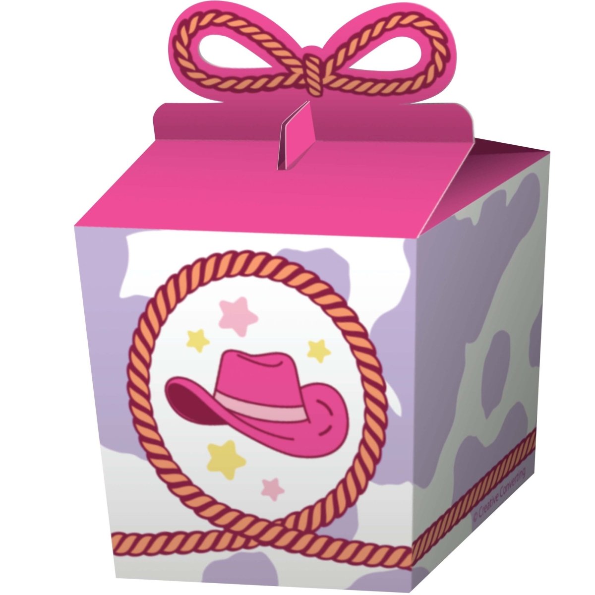 CREATIVE CONVERTING Kids Birthday Boots and Bows Birthday Treat Boxes, 8 Count 196504193925