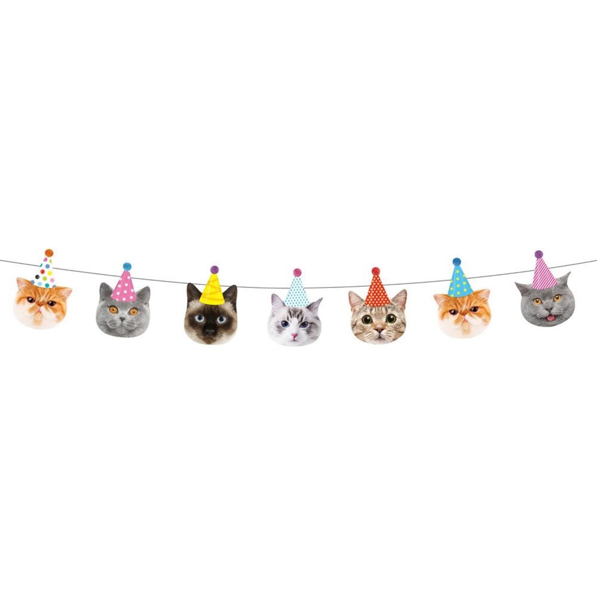 GLOCO ACCENTS INC Kids Birthday Party Cats Birthday Paper Banner, 98 Inches, 1 Count 885093010293