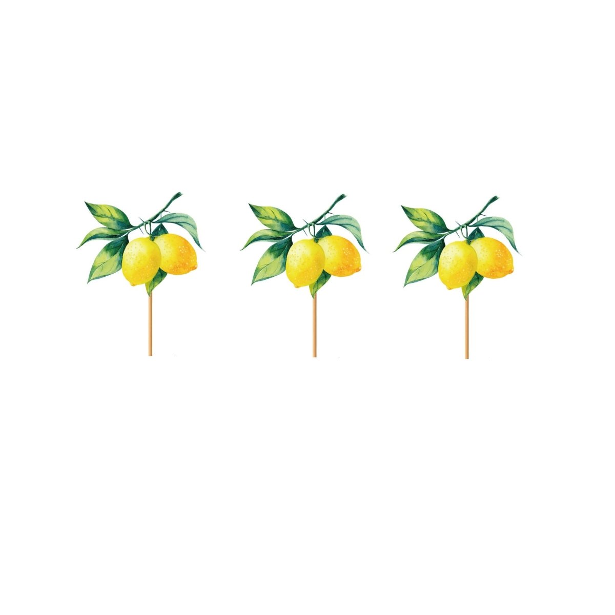 YIWU DAMAI Everyday Entertaining La Dolce Positano Cupcake Toppers, 12 Count 840482500892