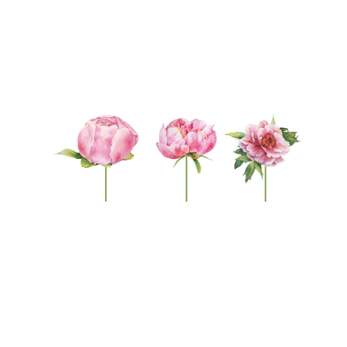 YIWU DAMAI Everyday Entertaining Rosy Elegance Cupcake Toppers, 12 Count 810120719771
